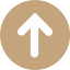 seta